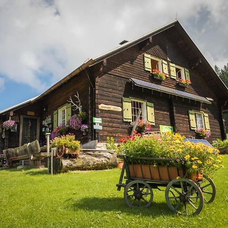 Ferienhof Schelchen Hollenstein an der Ybbs 外观 照片